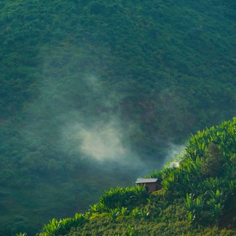 Misty highland hills in Ethiopia, birthplace of coffee